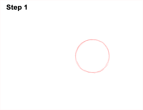 How to Draw an Aardvark Anteater Walking 1