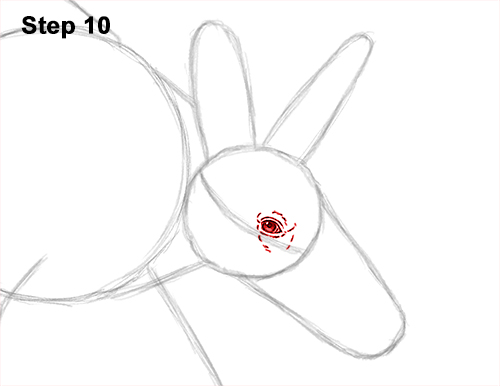 Draw an Aardvark Walking 10 How to Draw an Aardvark Anteater Walking 10
