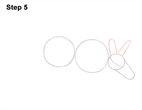 How to Draw an Aardvark Anteater Walking 5