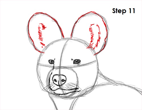 African Wild Dog Drawing 11 Draw African Wild Dog 11
