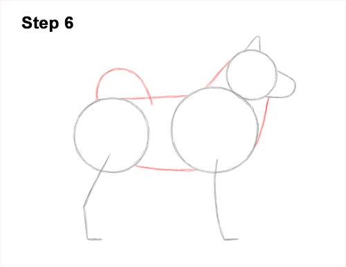 Draw an Alaskan Malamute Dog 6 How to Draw an Alaskan Malamute Puppy Dog Side View 6