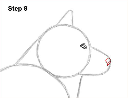 Draw an Alaskan Malamute Dog 8 How to Draw an Alaskan Malamute Puppy Dog Side View 8