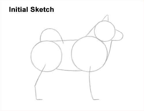 Draw an Alaskan Malamute Dog Guidelines How to Draw an Alaskan Malamute Puppy Dog Side View Guides Lines