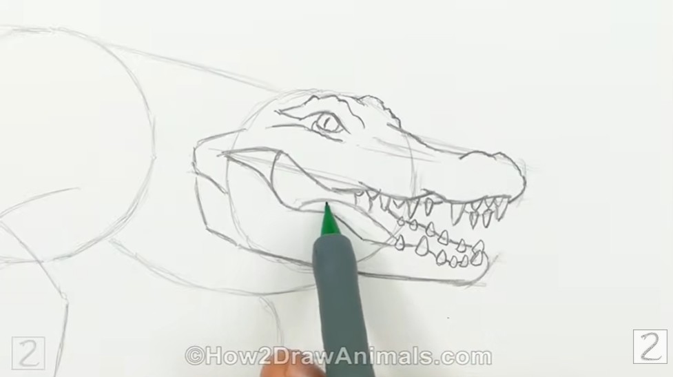 Draw the Eyes and Face Draw the Eyes and Face