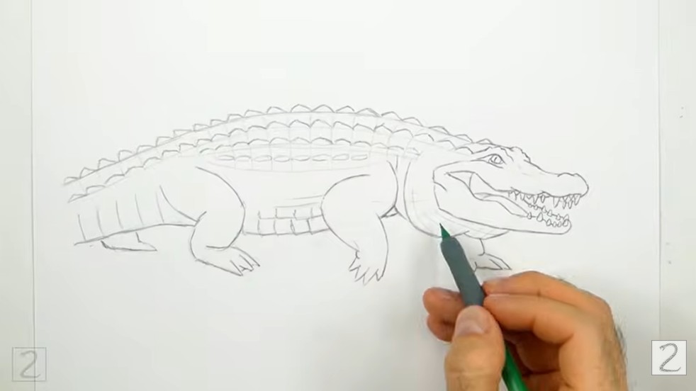 Add the Legs and Scales Add the Legs and Scales