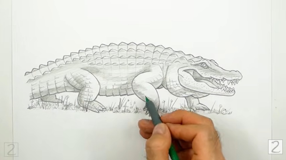 Erase Guides and Begin Shading Erase Guides and Begin Shading