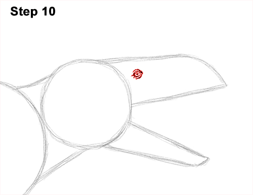 Draw Allosaurus Dinosaur Running 10 How to Draw Allosaurus Dinosaur Running Mouth Teeth 10