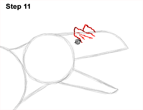 Draw Allosaurus Dinosaur Running 11 How to Draw Allosaurus Dinosaur Running Mouth Teeth 11