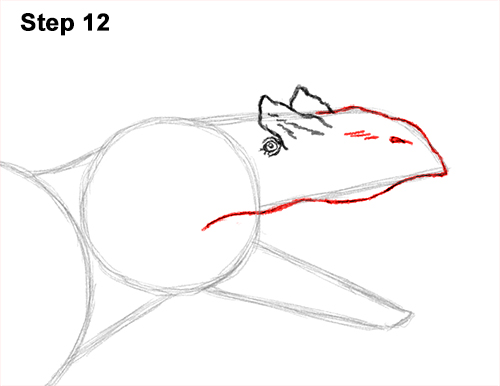 Draw Allosaurus Dinosaur Running 12 How to Draw Allosaurus Dinosaur Running Mouth Teeth 12