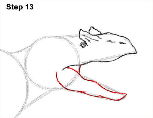 Draw Allosaurus Dinosaur Running 13 How to Draw Allosaurus Dinosaur Running Mouth Teeth 13