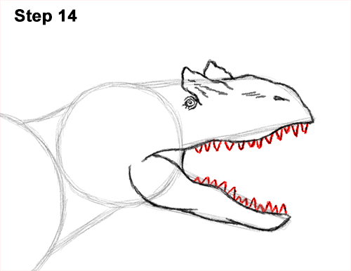Draw Allosaurus Dinosaur Running 14 How to Draw Allosaurus Dinosaur Running Mouth Teeth 14