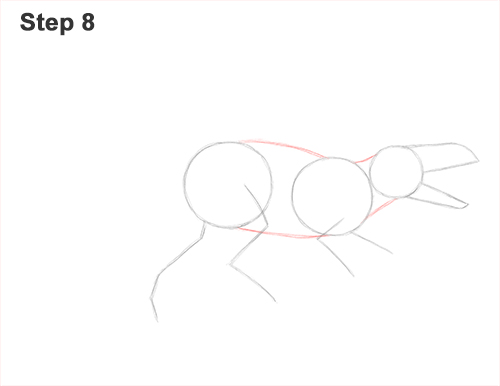 How to Draw Allosaurus Dinosaur Running Mouth Teeth 8