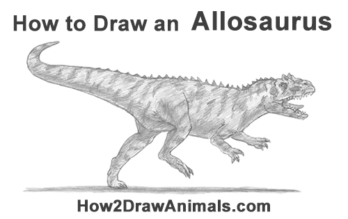 Draw an Allosaurus Dinosaur How to Draw Allosaurus Dinosaur Running Mouth Teeth