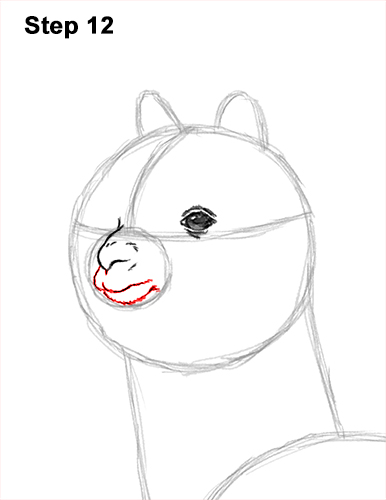 How to Draw an Alpaca Llama 12