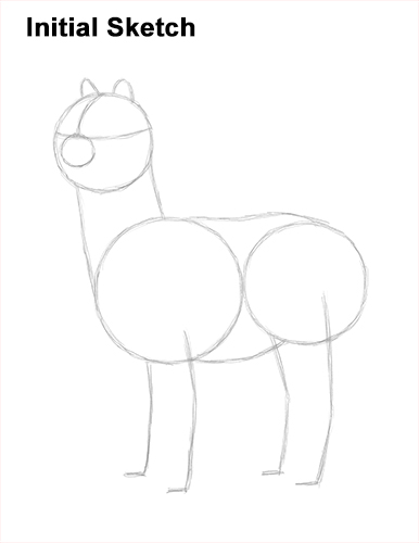 Draw an Alpaca Llama 2 How to Draw an Alpaca Llama 2