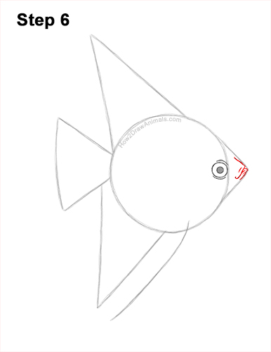 How to Draw an Altum Angelfish Blue Zebra Fish 6