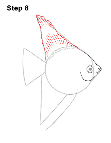How to Draw an Altum Angelfish Blue Zebra Fish 8