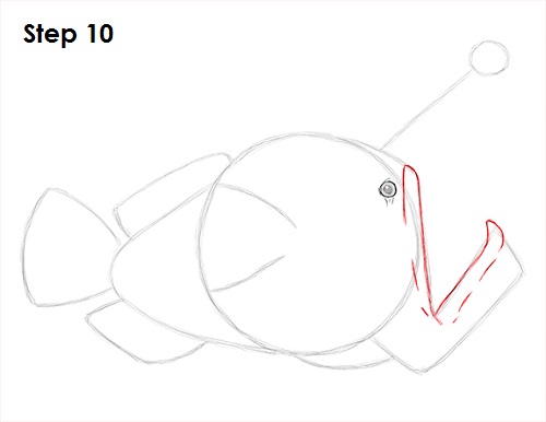 Anglerfish Drawing 10 Draw Anglerfish 10