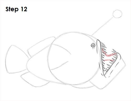 Anglerfish Drawing 12 Draw Anglerfish 12