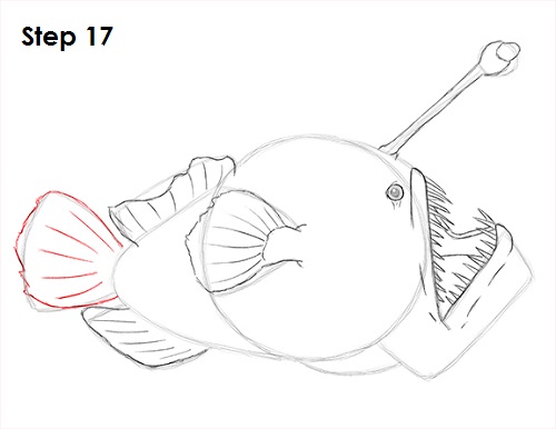Draw Anglerfish 17