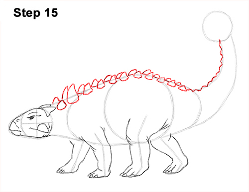 Ankylosaurus Dinosaur Drawing 15 Draw Ankylosaurus Dinosaur 15
