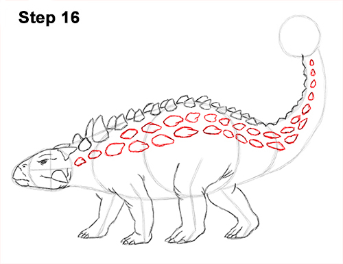 Ankylosaurus Dinosaur Drawing 16 Draw Ankylosaurus Dinosaur 16