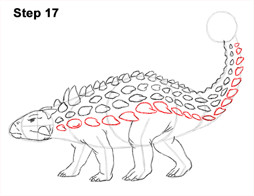 Ankylosaurus Dinosaur Drawing 17 Draw Ankylosaurus Dinosaur 17