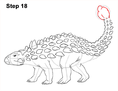 Ankylosaurus Dinosaur Drawing 18 Draw Ankylosaurus Dinosaur 18