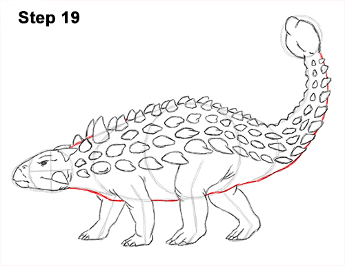 Ankylosaurus Dinosaur Drawing 19 Draw Ankylosaurus Dinosaur 19
