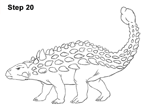 Ankylosaurus Dinosaur Drawing 20 Draw Ankylosaurus Dinosaur 20