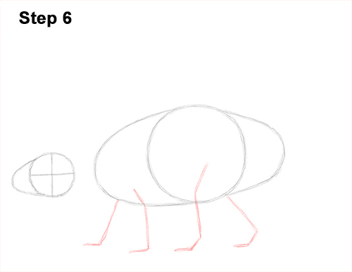 Ankylosaurus Dinosaur Drawing 6 Draw Ankylosaurus Dinosaur 6
