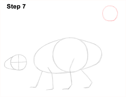 Ankylosaurus Dinosaur Drawing 7 Draw Ankylosaurus Dinosaur 7