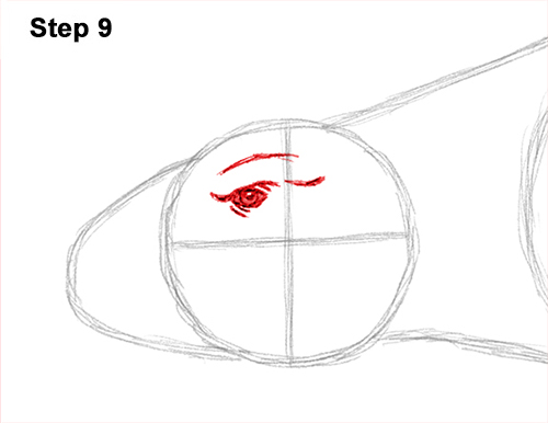 Ankylosaurus Dinosaur Drawing 9 Draw Ankylosaurus Dinosaur 9