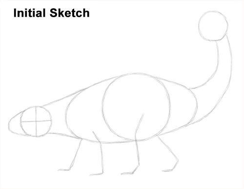 Ankylosaurus Dinosaur Drawing Sketch Draw Ankylosaurus Dinosaur Sketch