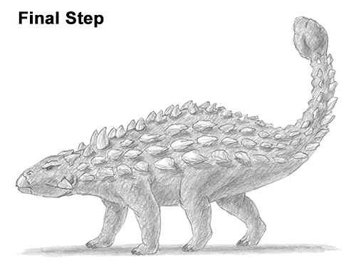 Ankylosaurus Dinosaur Drawing Last Draw Ankylosaurus Dinosaur Last