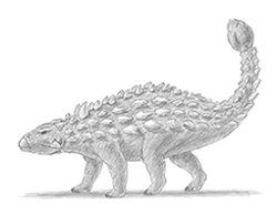 How to Draw an Ankylosaurus