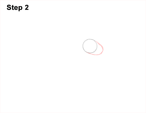 Draw Carpenter Ant 2 How to Draw Carpenter Pavement House Ant Insect Bug 2