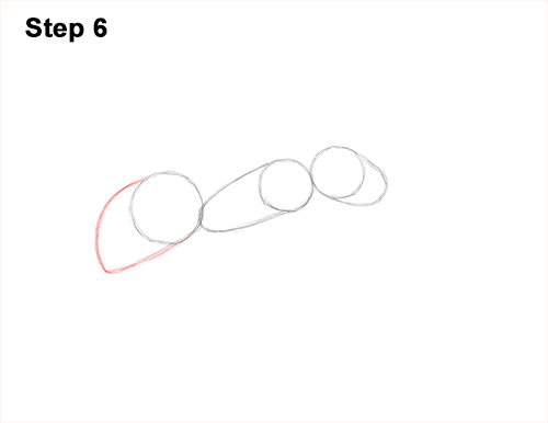 Draw Carpenter Ant 6 How to Draw Carpenter Pavement House Ant Insect Bug 6