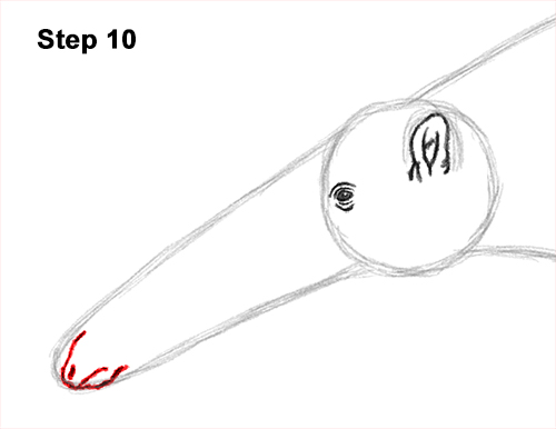 Draw Giant Anteater 10