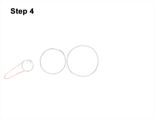 Anteater Drawing 4 Draw Giant Anteater 4