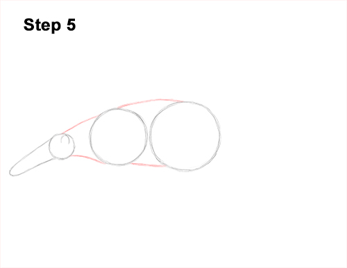 Anteater Drawing 5 Draw Giant Anteater 5