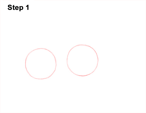 Draw Armadillo 1