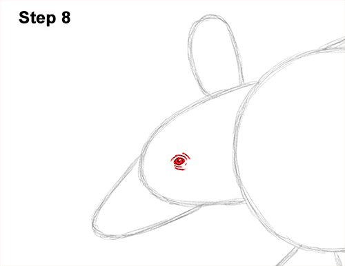 Armadillo Drawing 8 Draw Armadillo 8