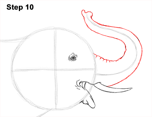 Asian Elephant Drawing 10 Draw Asian Elephant 10