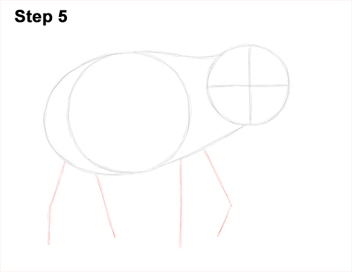 Asian Elephant Drawing 5 Draw Asian Elephant 5
