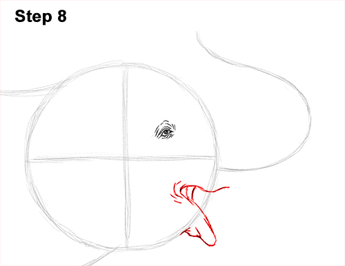 Draw Asian Elephant 8