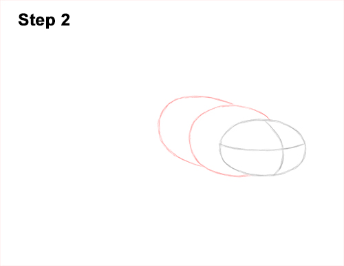 Axolotl Guide Step 2 How to Draw an Axolotl Salamander 2