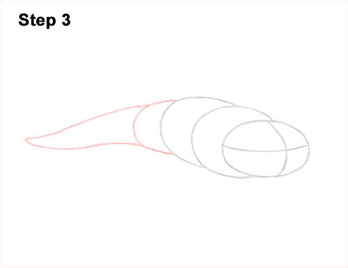 Axolotl Guide Step 3 How to Draw an Axolotl Salamander 3