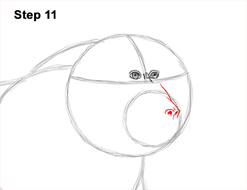 Draw an Olive Baboon Side 11 How to Draw an Olive Chacma Baboon Monkey Walking 11