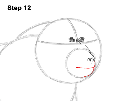 Draw an Olive Baboon Side 12 How to Draw an Olive Chacma Baboon Monkey Walking 12